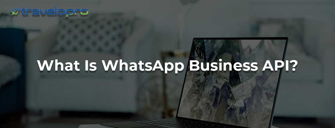Best WhatsApp Business API